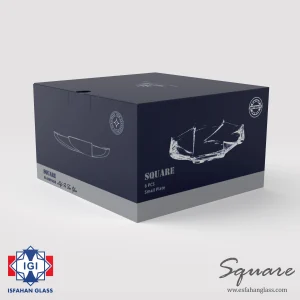 پیش دستی اسکوئر